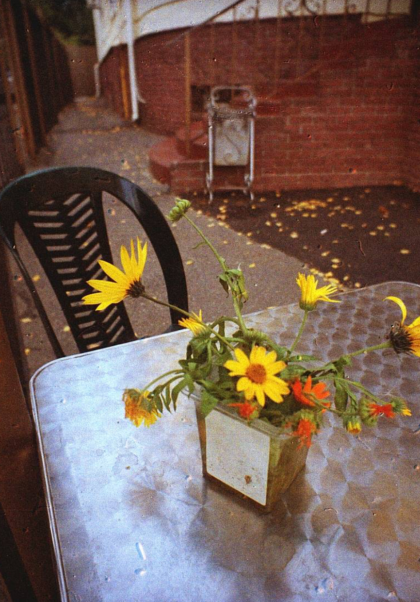 Kodak Ultramax 400 36 Photos